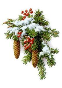 vanoce Šťastné a veselé Vánoce!